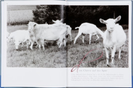 JAN C. BRETTSCHNEIDER