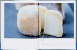 JAN C. BRETTSCHNEIDER