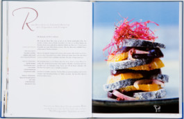 JAN C. BRETTSCHNEIDER