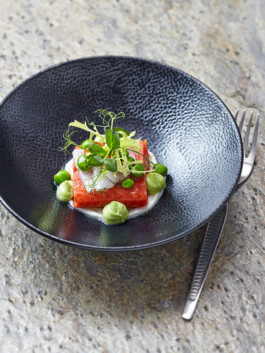 JAN C. BRETTSCHNEIDER