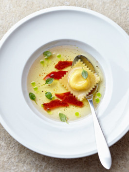 JAN C. BRETTSCHNEIDER