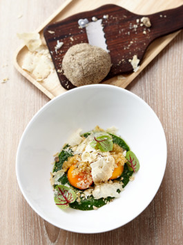 JAN C. BRETTSCHNEIDER