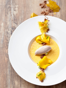 JAN C. BRETTSCHNEIDER