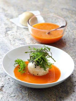 JAN C. BRETTSCHNEIDER