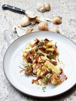 JAN C. BRETTSCHNEIDER