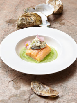 JAN C. BRETTSCHNEIDER