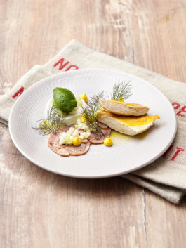 JAN C. BRETTSCHNEIDER