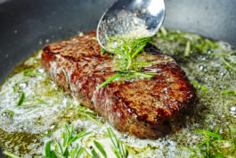 JAN C. BRETTSCHNEIDER