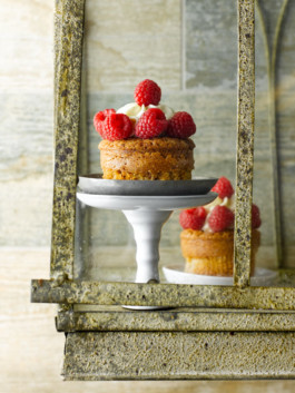 JAN C. BRETTSCHNEIDER