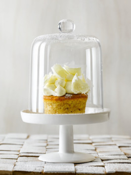 JAN C. BRETTSCHNEIDER