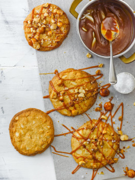 JAN C. BRETTSCHNEIDER