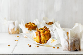 JAN C. BRETTSCHNEIDER