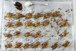 JAN C. BRETTSCHNEIDER