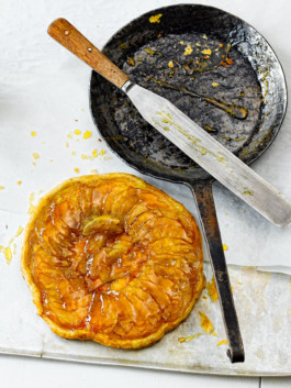 JAN C. BRETTSCHNEIDER