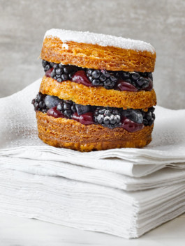 JAN C. BRETTSCHNEIDER