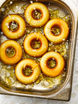 JAN C. BRETTSCHNEIDER