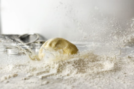 JAN C. BRETTSCHNEIDER