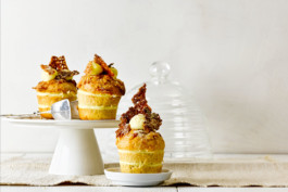 JAN C. BRETTSCHNEIDER