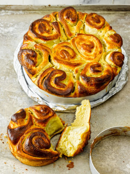 JAN C. BRETTSCHNEIDER