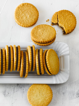 JAN C. BRETTSCHNEIDER