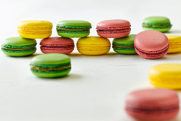 JAN C. BRETTSCHNEIDER