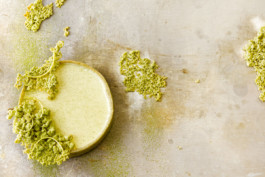 JAN C. BRETTSCHNEIDER