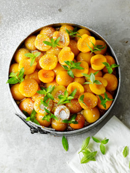 JAN C. BRETTSCHNEIDER