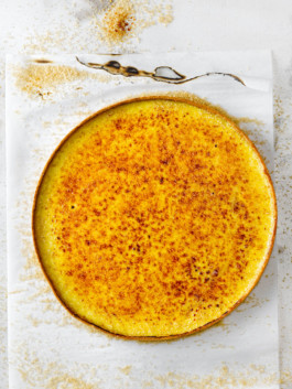 JAN C. BRETTSCHNEIDER