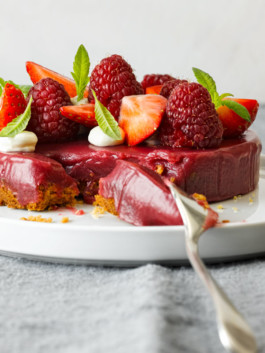 JAN C. BRETTSCHNEIDER