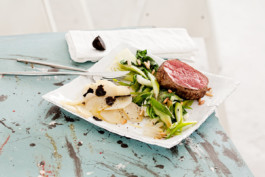 JAN C. BRETTSCHNEIDER