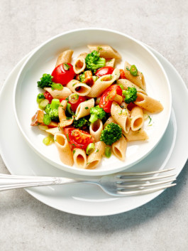 JAN C. BRETTSCHNEIDER