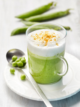 JAN C. BRETTSCHNEIDER