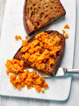 JAN C. BRETTSCHNEIDER