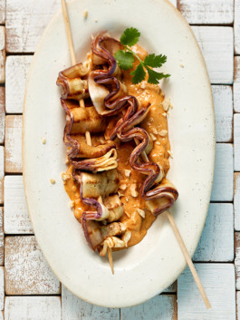 JAN C. BRETTSCHNEIDER