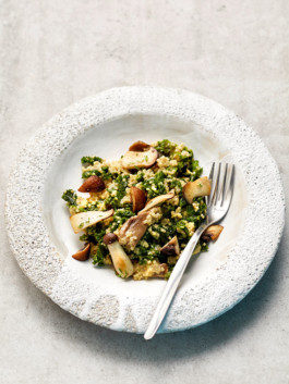 JAN C. BRETTSCHNEIDER