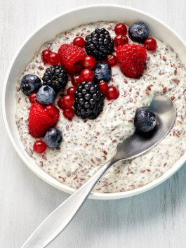 JAN C. BRETTSCHNEIDER