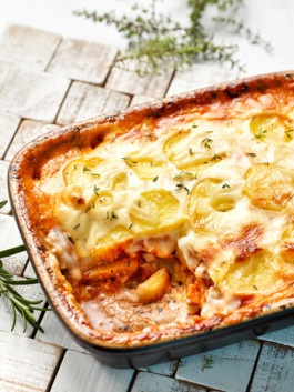 JAN C. BRETTSCHNEIDER