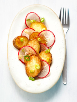 JAN C. BRETTSCHNEIDER