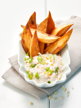 JAN C. BRETTSCHNEIDER