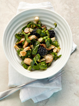 JAN C. BRETTSCHNEIDER