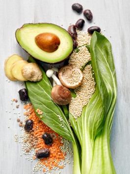 JAN C. BRETTSCHNEIDER