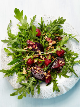 JAN C. BRETTSCHNEIDER