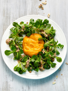 JAN C. BRETTSCHNEIDER