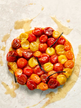 JAN C. BRETTSCHNEIDER