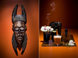 JAN C. BRETTSCHNEIDER