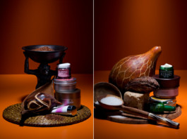 JAN C. BRETTSCHNEIDER