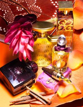 JAN C. BRETTSCHNEIDER