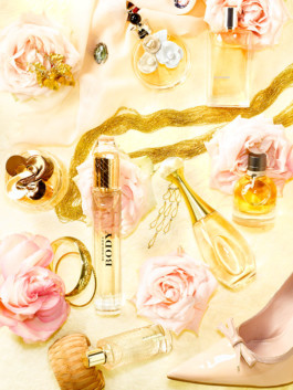 JAN C. BRETTSCHNEIDER