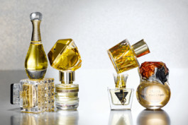 JAN C. BRETTSCHNEIDER