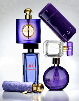 JAN C. BRETTSCHNEIDER